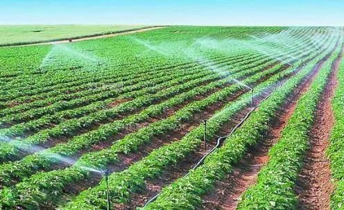 啊啊啊嗯好大视频农田高 效节水灌溉